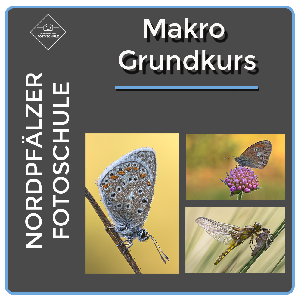 Grundkurs1